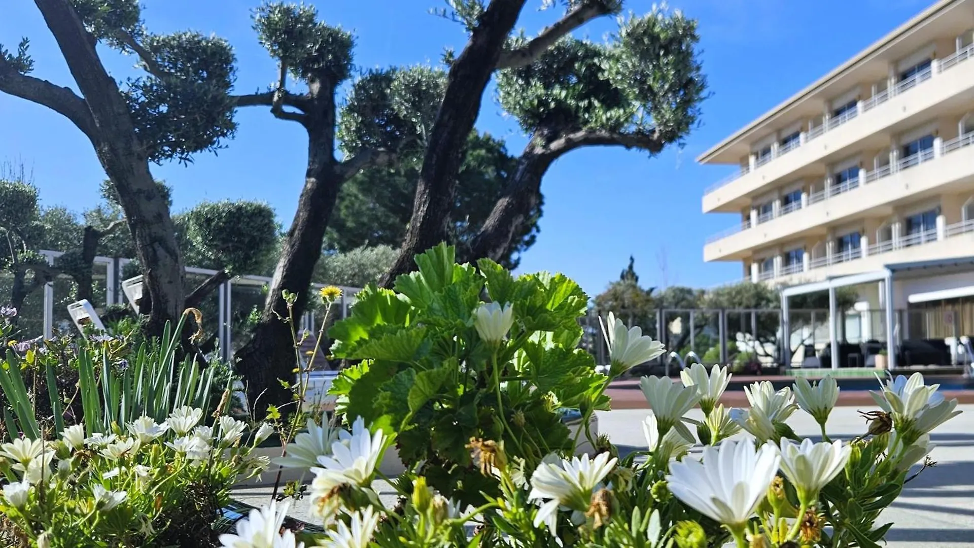 Apartamentos La Masia 레스타르티트 아파트